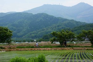 DSC_5894.JPG