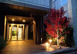 PA223162.JPG